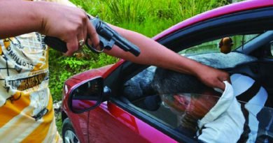 En caso de asalto o robo con violencia la víctima podrá dañar, lastimar e incluso matar al delincuente En caso de asalto o robo con violencia la víctima podrá dañar, lastimar e incluso matar al delincuente
