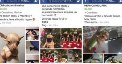 Facebook ya prohíbe la venta de animales en su plataforma Facebook ya prohíbe la venta de animales en su plataforma