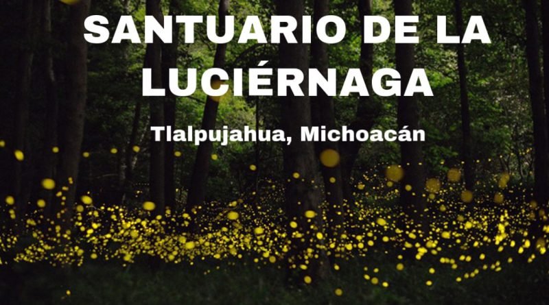 Resultado de imagen para santuario de las luciernagas tlalpujahua