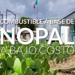 electricidad y biogas con nopal