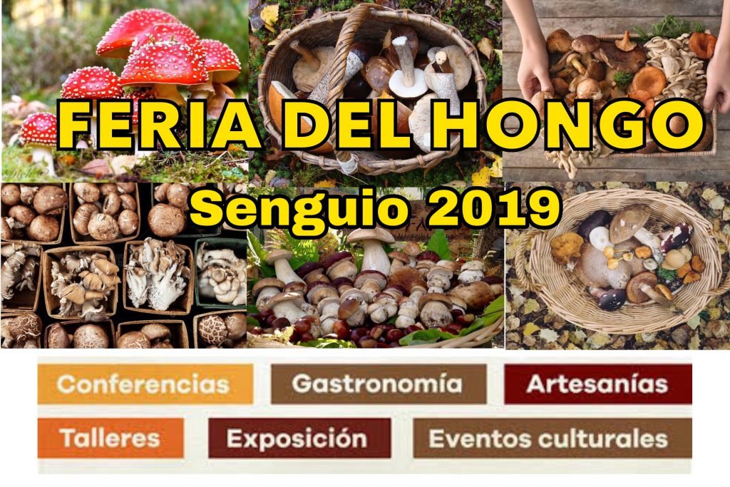 Se realizará la XXII Feria del Hongo en Senguio, Michoacán