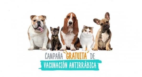 Campaña de vacunación Maravatío